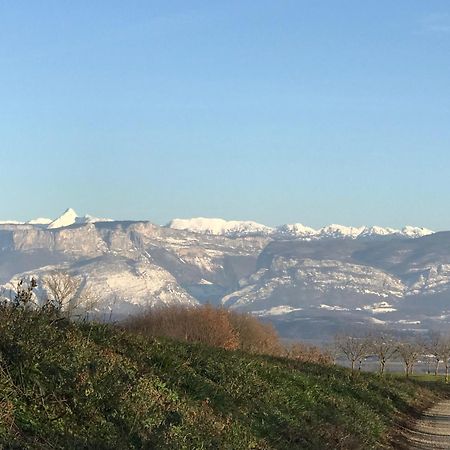 Gites&Chambres D Hotes Les Granges Du Fournel Saint-Lattier Exteriér fotografie