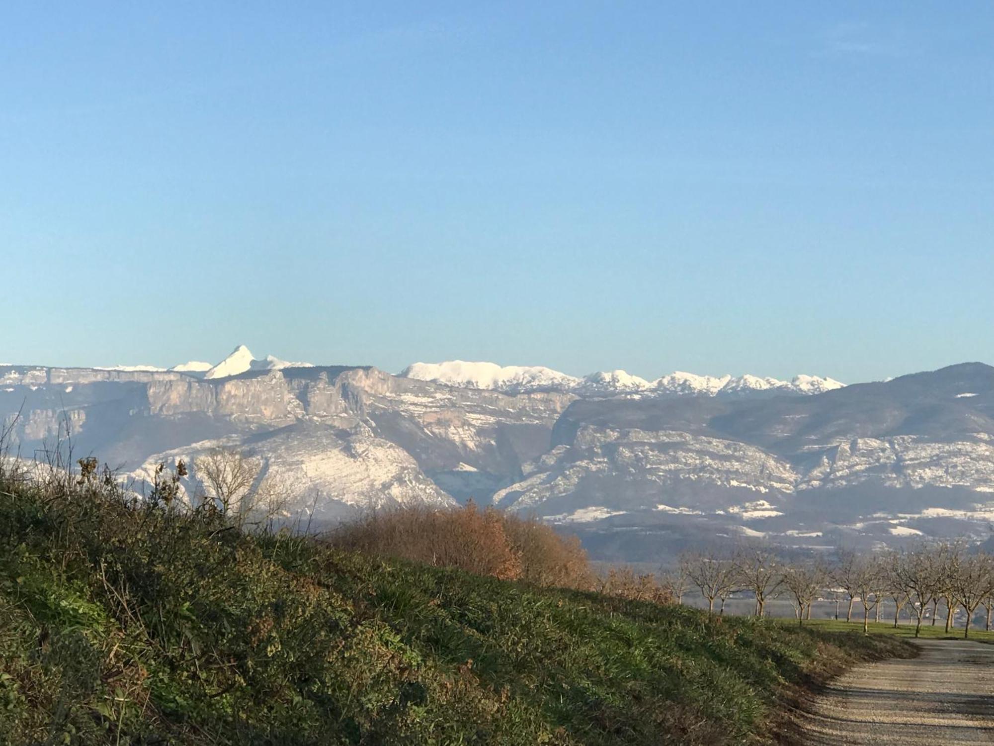 Gites&Chambres D Hotes Les Granges Du Fournel Saint-Lattier Exteriér fotografie